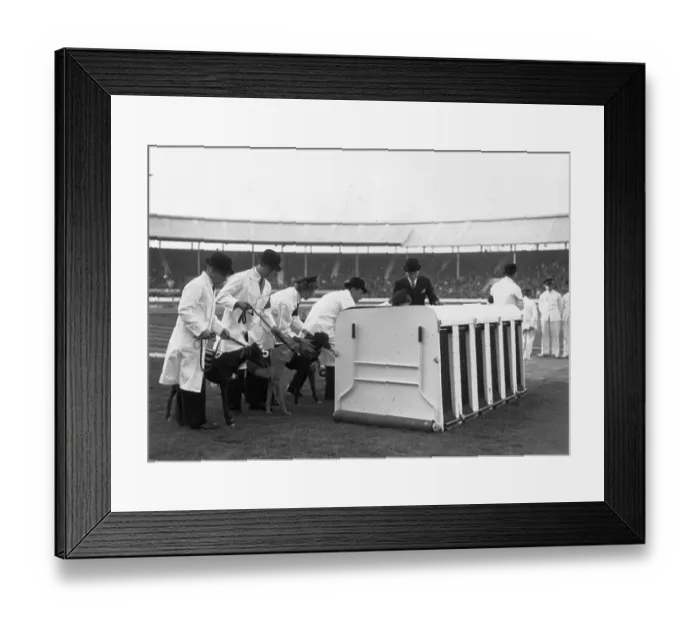 Framed Print : Novice Race Framed Print : Novice Race