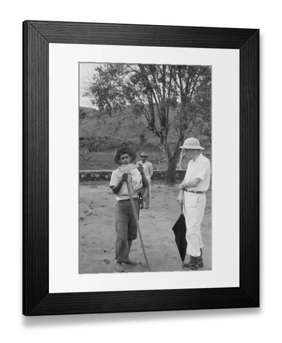 Framed Print : Brazil Coffee Plantation Framed Print : Brazil Coffee Plantation