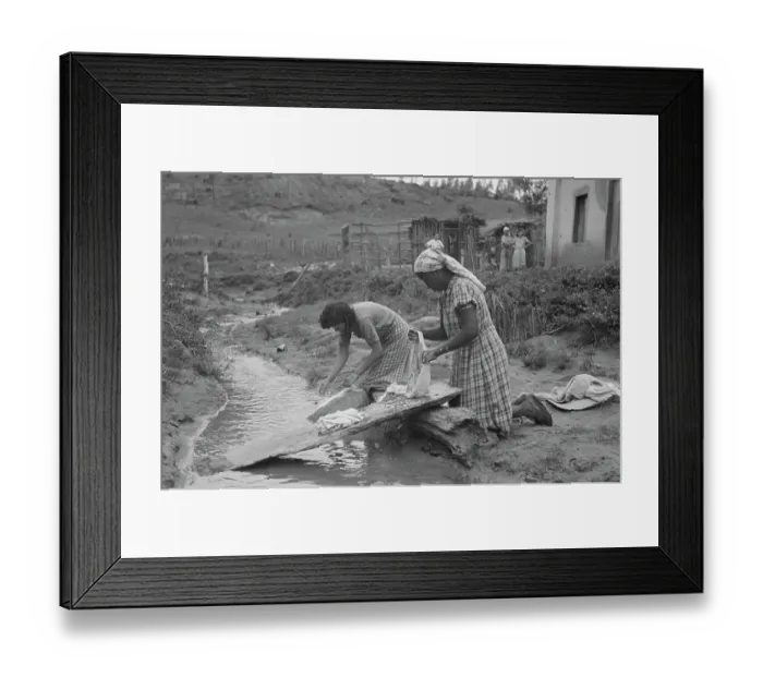 Framed Print : Brazil Life Framed Print : Brazil Life