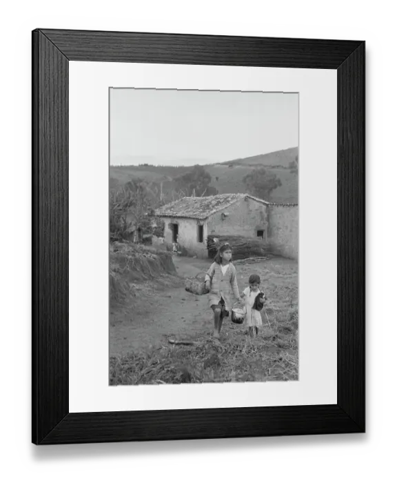 Framed Print : Brazil Coffee Plantation Framed Print : Brazil Coffee Plantation