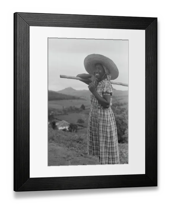 Framed Print : Brazil Coffee Plantation Framed Print : Brazil Coffee Plantation