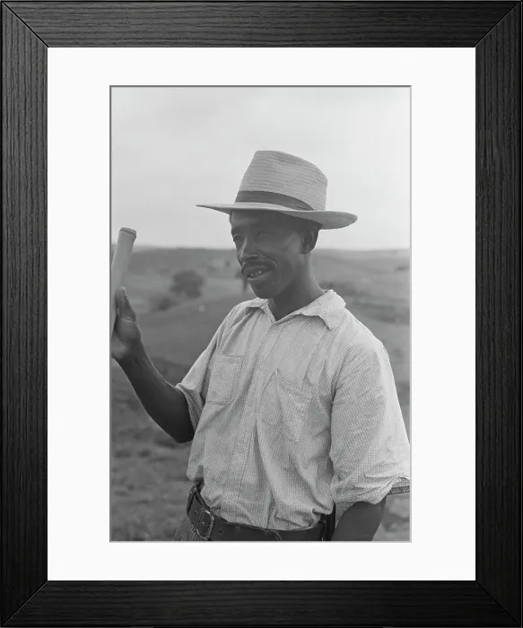 Framed Print : Brazil Coffee Plantation Framed Print : Brazil Coffee Plantation