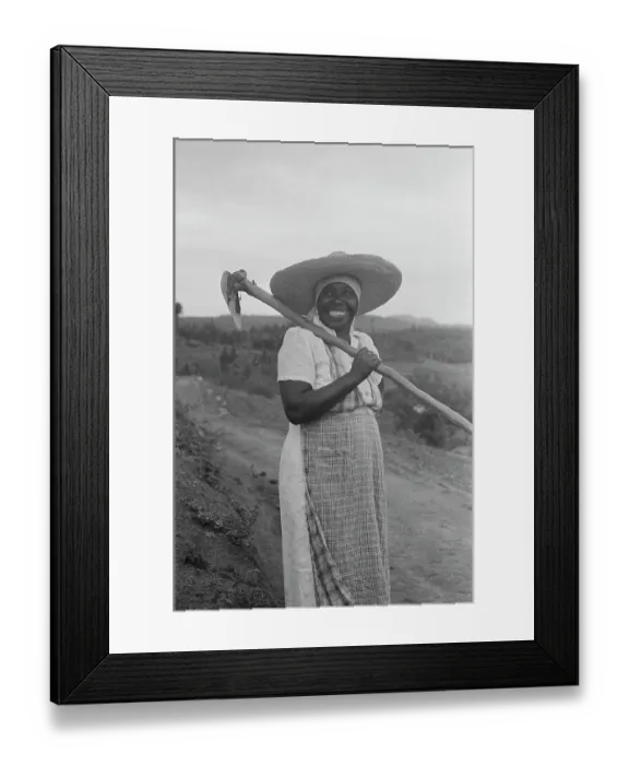 Framed Print : Brazil Coffee Plantation Framed Print : Brazil Coffee Plantation