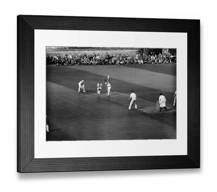 Framed Print : Worrell Bats Framed Print : Worrell Bats