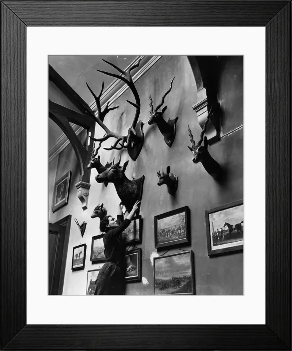 Framed Print : Hunting Trophies Framed Print : Hunting Trophies