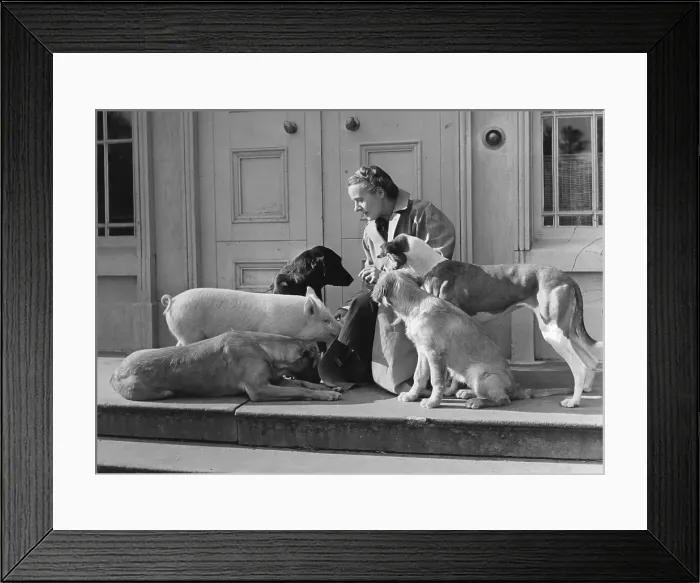 Framed Print : Irish Menagerie Framed Print : Irish Menagerie