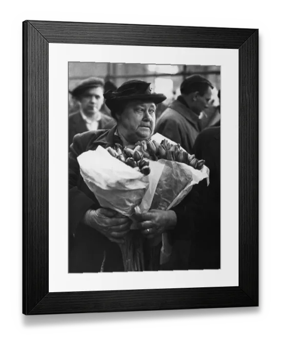 Framed Print : Tulip Lover Framed Print : Tulip Lover
