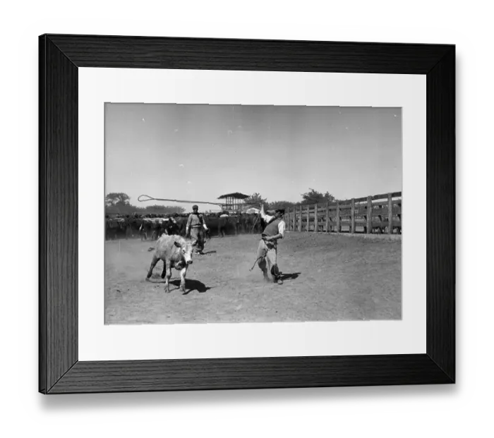 Framed Print : Argentine Cowboy Framed Print : Argentine Cowboy
