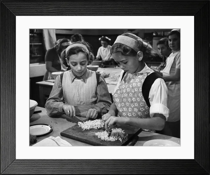 Framed Print : Domestic Science Framed Print : Domestic Science