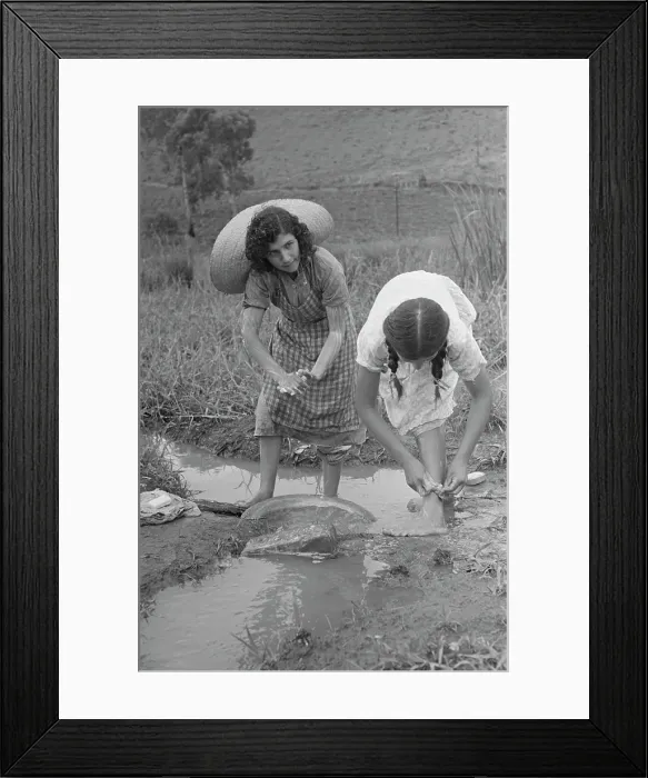 Framed Print : Life In Brazil