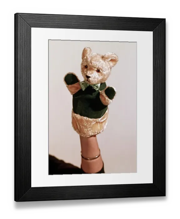 Framed Print : Teddy Bear Puppet Framed Print : Teddy Bear Puppet