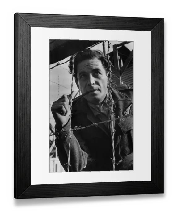 Framed Print : Caged Leo. 1950: Leo Genn (1905 - 1978) stars in the Wessex film The Wooden Horse Framed Print : Caged Leo. 1950: Leo Genn (1905 - 1978) stars in the Wessex film The Wooden Horse