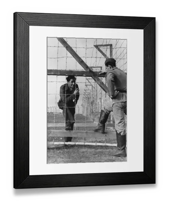 Framed Print : Captured Leo Framed Print : Captured Leo