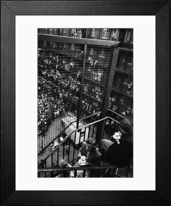 Framed Print : Holiday At Home Framed Print : Holiday At Home