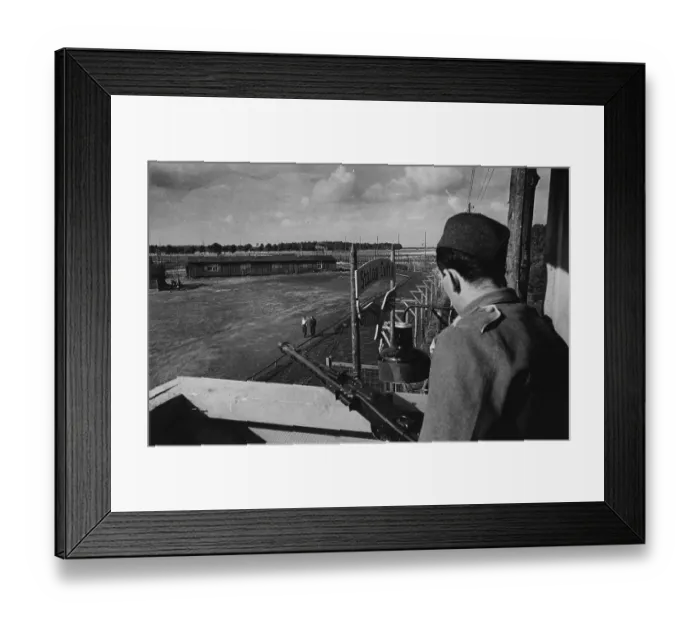 Framed Print : The Wooden Horse Framed Print : The Wooden Horse