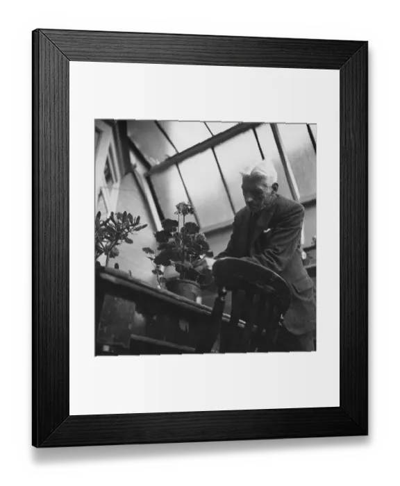 Framed Print : Potting Geraniums Framed Print : Potting Geraniums