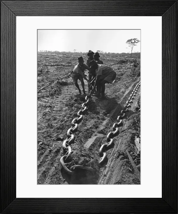 Framed Print : Clearing Chain Framed Print : Clearing Chain