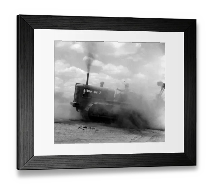 Framed Print : Groundnut Farming Framed Print : Groundnut Farming