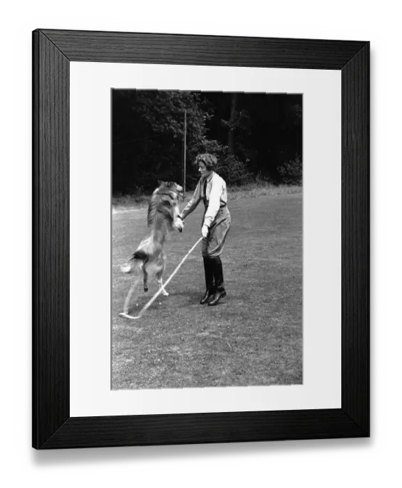 Framed Print : Skipping Dog Framed Print : Skipping Dog
