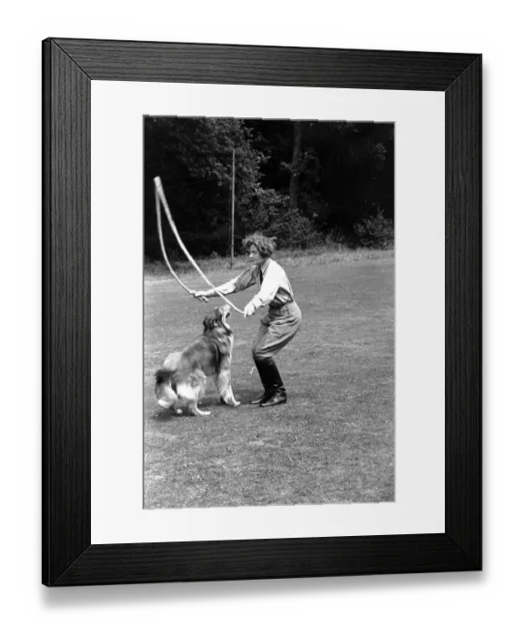 Framed Print : Skipping With Collie Framed Print : Skipping With Collie