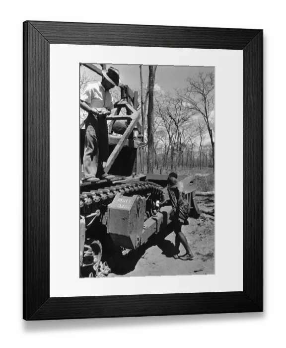 Framed Print : Tractor Driver Framed Print : Tractor Driver