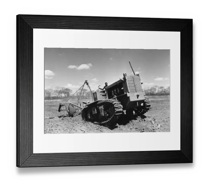 Framed Print : Root Raker