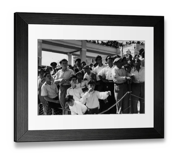 Framed Print : Marsa Races Framed Print : Marsa Races