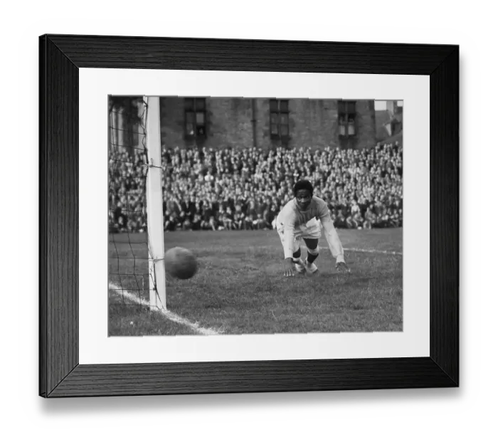 Framed Print : Beaten Goalie Framed Print : Beaten Goalie