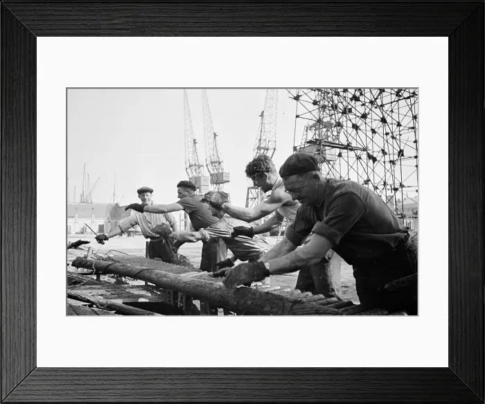 Framed Print : Pluto Returns Framed Print : Pluto Returns