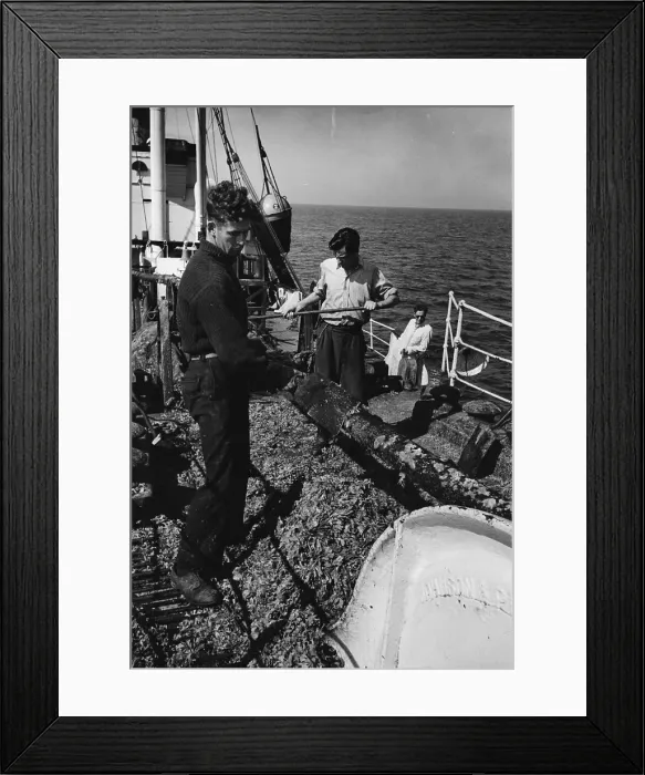 Framed Print : Salvaging Pluto Framed Print : Salvaging Pluto
