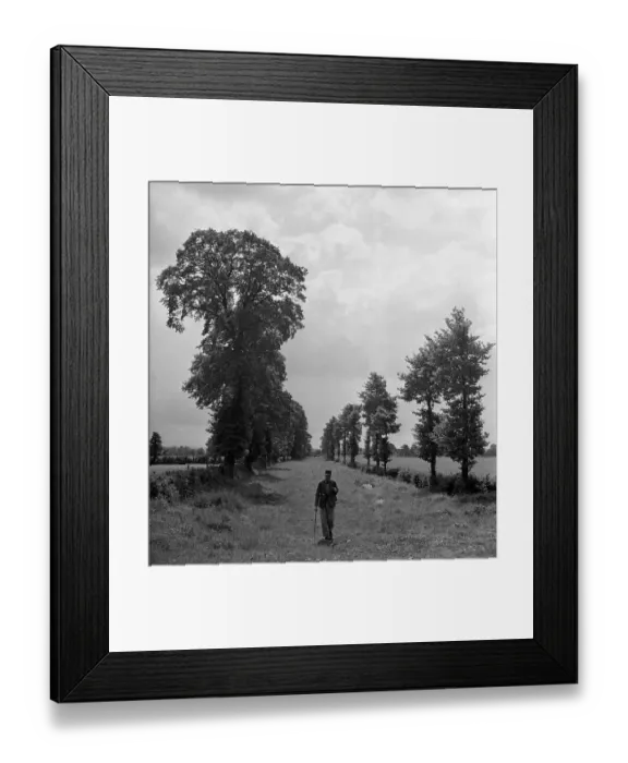 Framed Print : Ashbridge Walk Framed Print : Ashbridge Walk