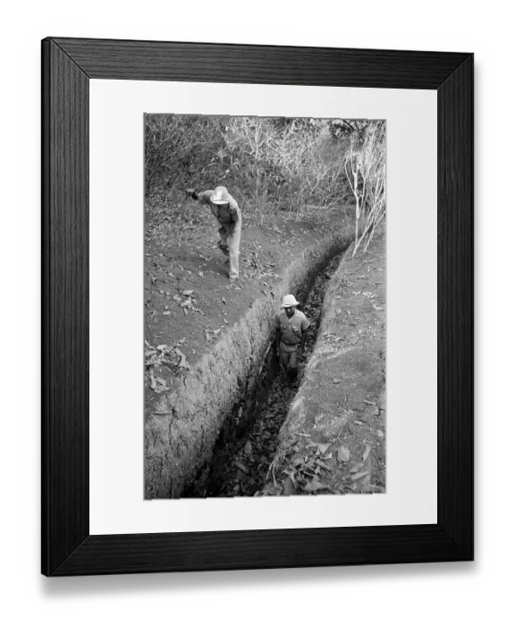 Framed Print : Malaria Drain Framed Print : Malaria Drain