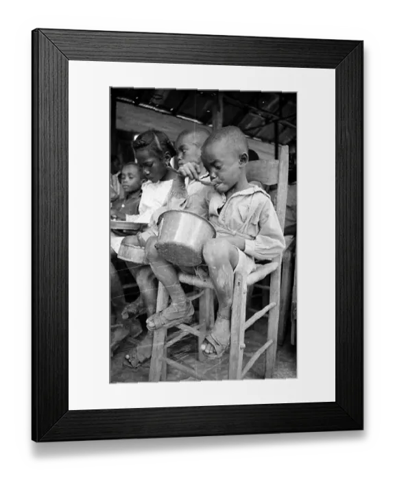 Framed Print : Free Lunch Framed Print : Free Lunch