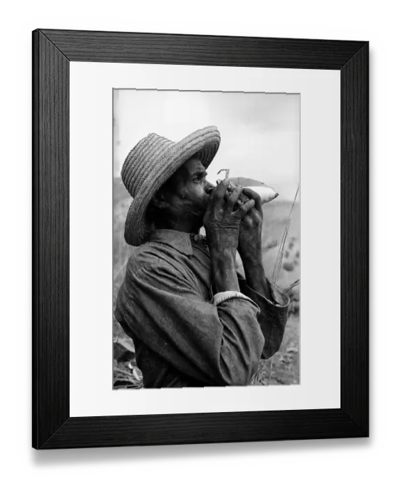 Framed Print : Conch Music Framed Print : Conch Music