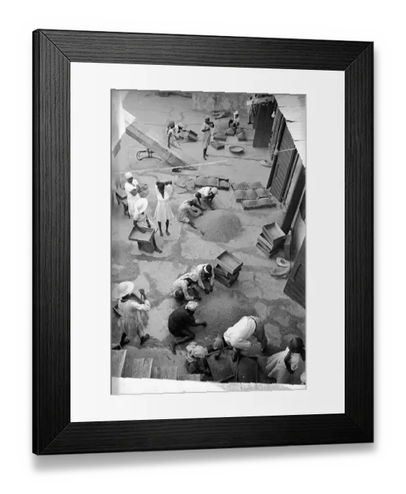 Framed Print : Market Grain Framed Print : Market Grain