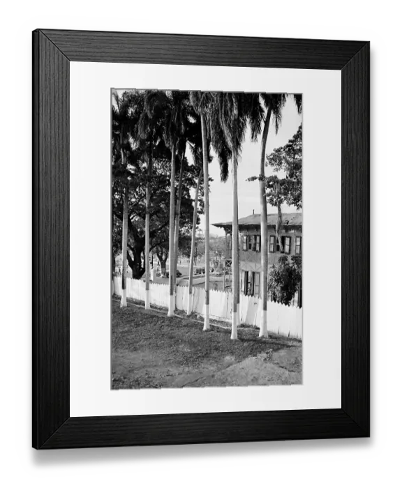 Framed Print : Painted Trunks Framed Print : Painted Trunks