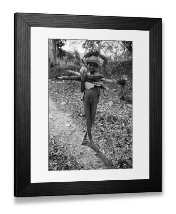 Framed Print : Wood Gatherer Framed Print : Wood Gatherer