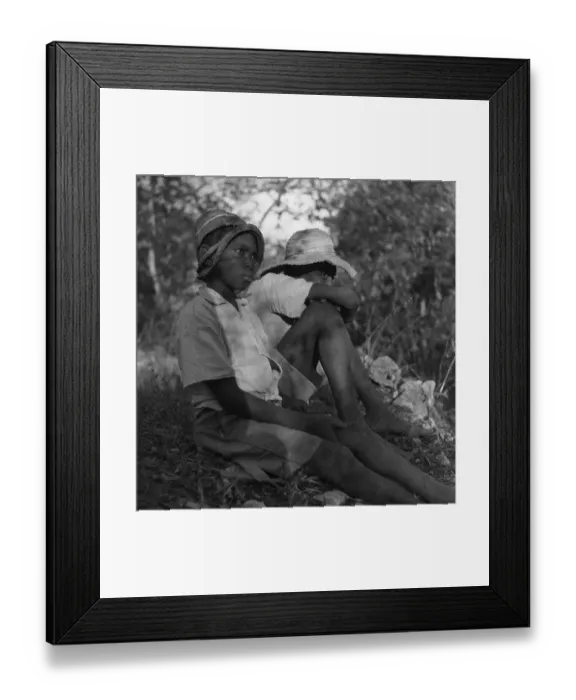 Framed Print : In The Shade Framed Print : In The Shade