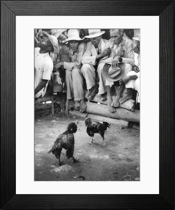 Framed Print : National Sport