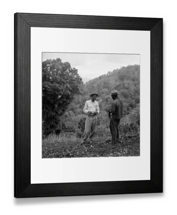 Framed Print : Team Leader Framed Print : Team Leader