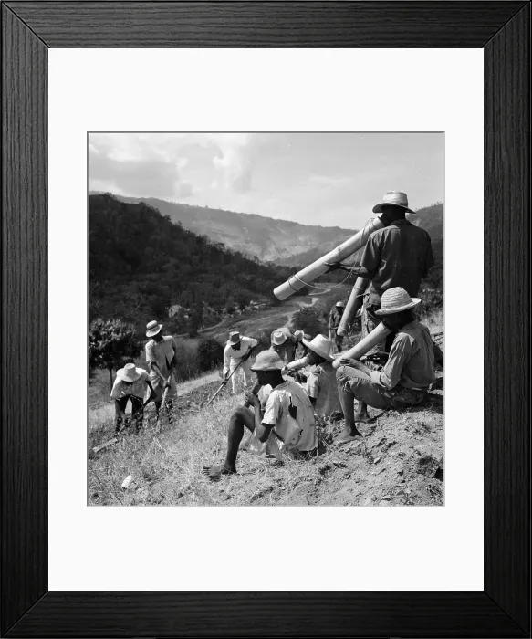 Framed Print : Music While You Work Framed Print : Music While You Work