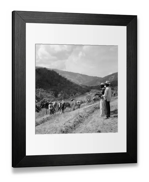 Framed Print : Anti-Erosion Framed Print : Anti-Erosion