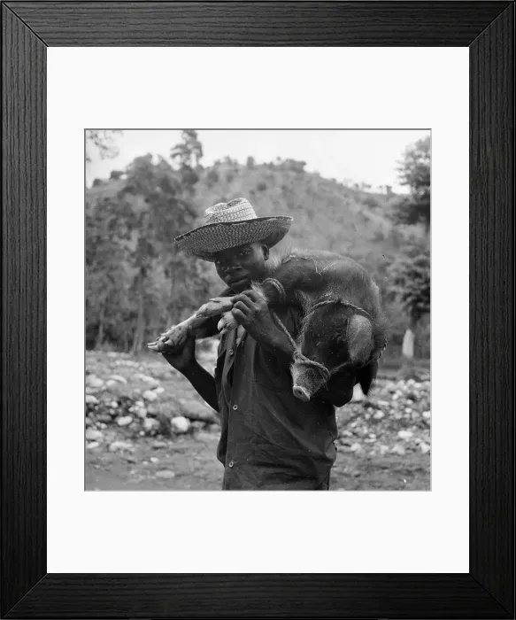 Framed Print : Pork For Supper Framed Print : Pork For Supper