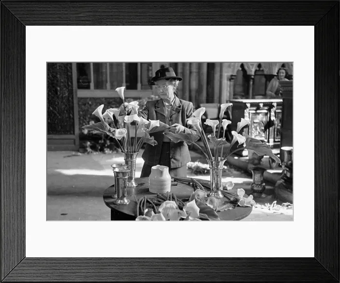 Framed Print : Floral Cathedral Framed Print : Floral Cathedral
