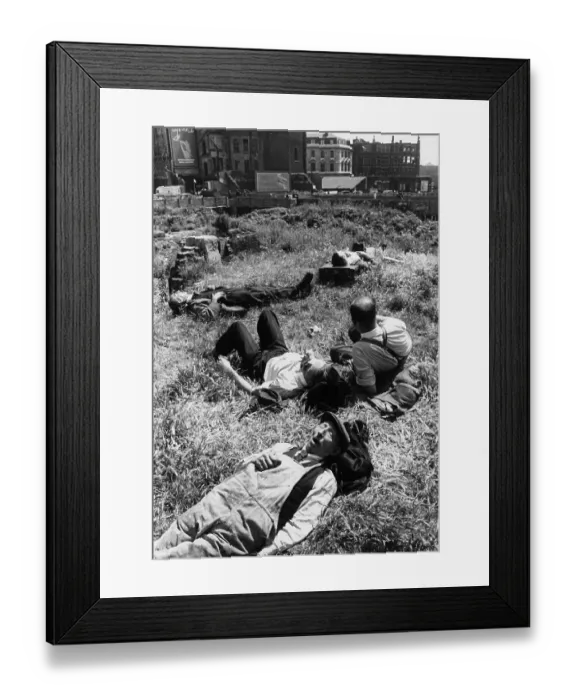 Framed Print : Lunch Break Framed Print : Lunch Break