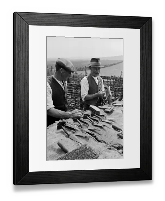 Framed Print : Sheep Shears Framed Print : Sheep Shears