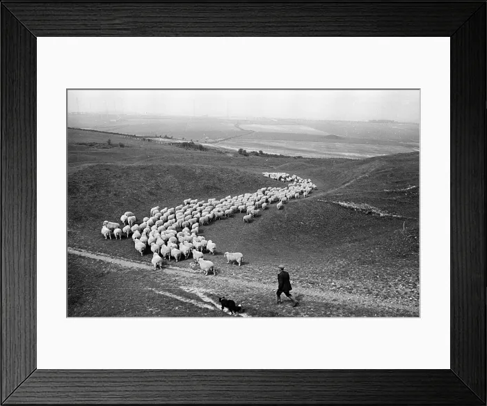Framed Print : Journey Home Framed Print : Journey Home