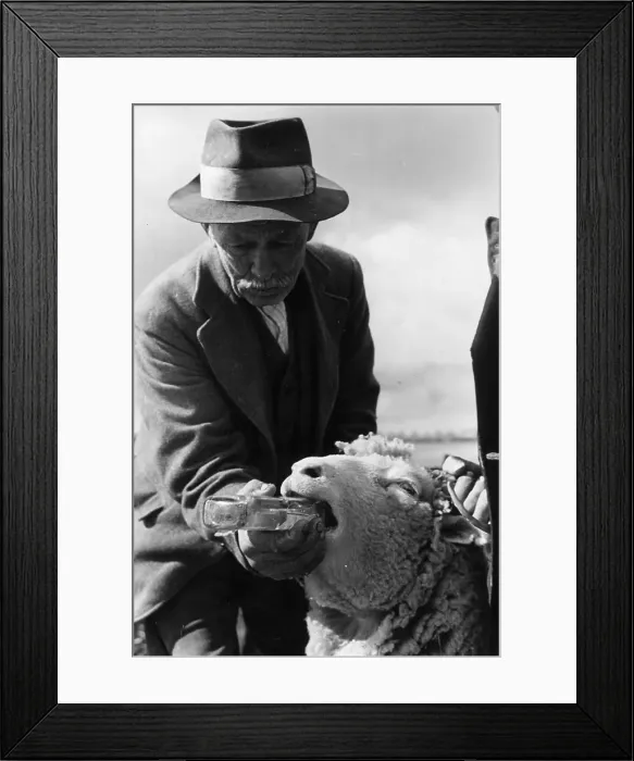 Framed Print : Medicine Man Framed Print : Medicine Man