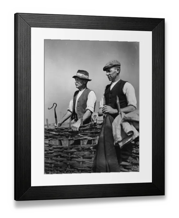 Framed Print : Chief Shepherd Framed Print : Chief Shepherd