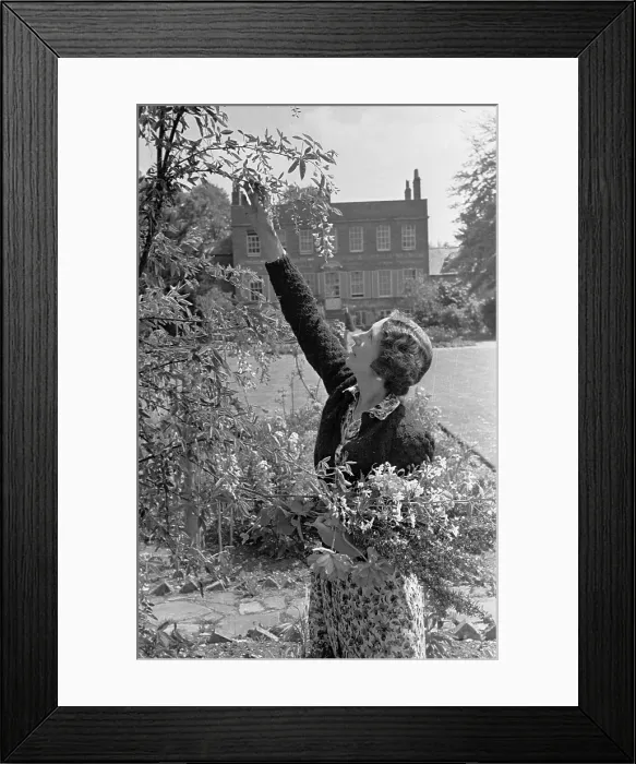 Framed Print : Flower Picking